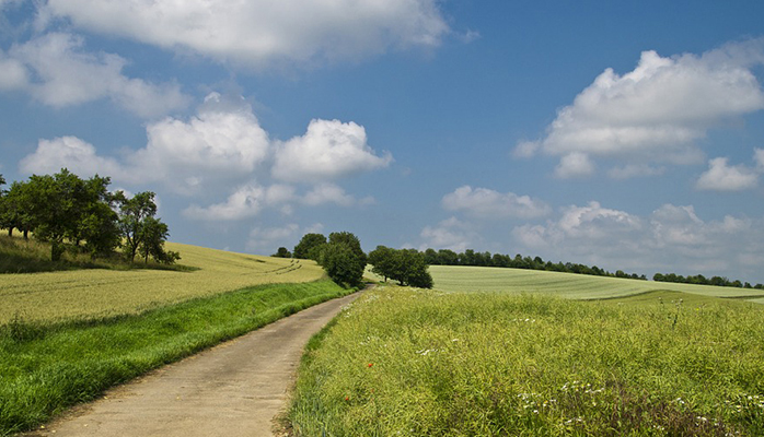 Le bail rural peut-il être verbal ?