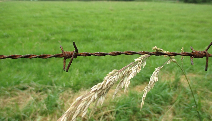 Un décret détaille les aides directes en faveur des agriculteurs actifs